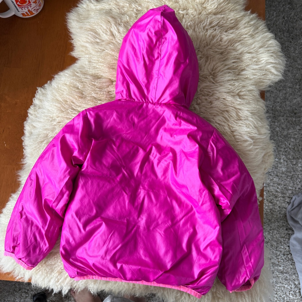 The North Face 550 Goose Down Hooded Jacket Toddler 4T - Picture 7 of 8